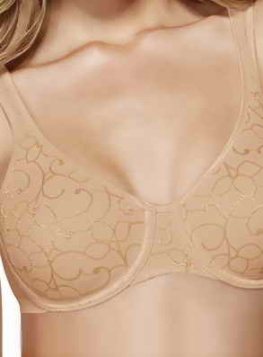 Triumph ����������� ������ �����