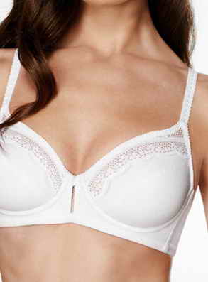 Triumph ����������� ������ �����