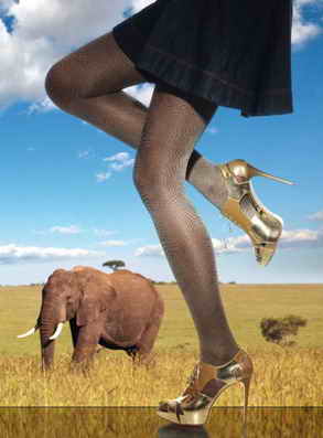 Charmante �������� �������