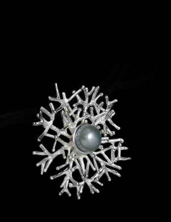 ����� Ainsi, NL2-1103