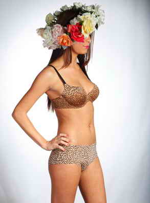 Rose & Petal ������� ����