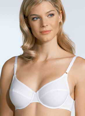 Triumph ����������� ������ �����