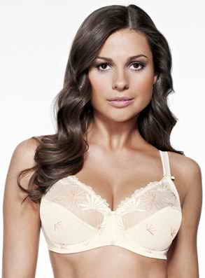 Triumph ����������� ������ �����