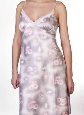 Rose & Petal �������