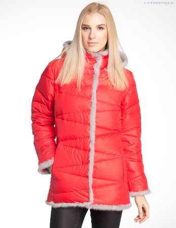 ������� Red Fox, Tanana