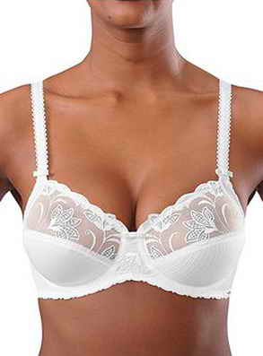 Triumph ����������� ������ �����